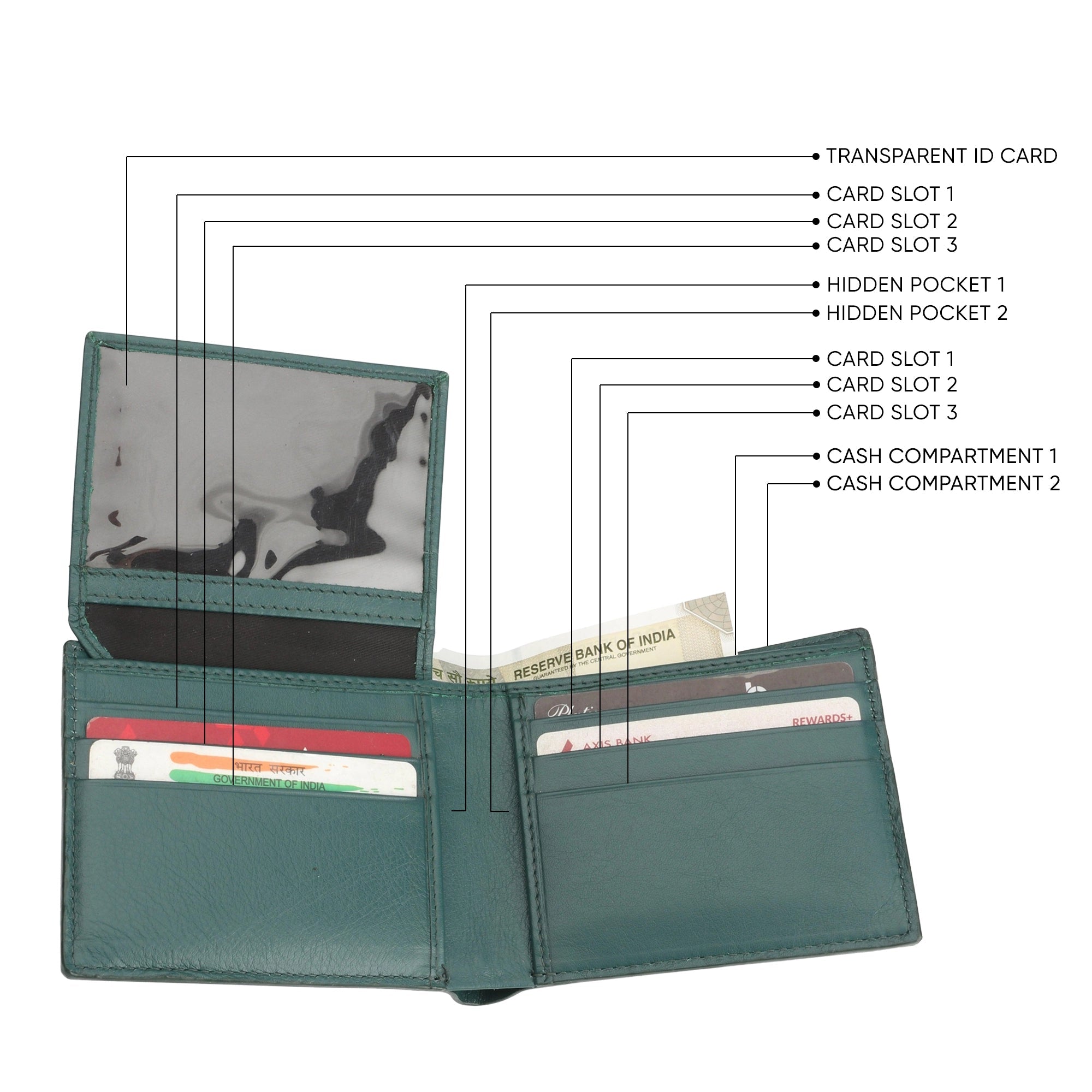 Great Dane | Genuine Leather Wallet & Belt Combo | Color : Green Leather Talks